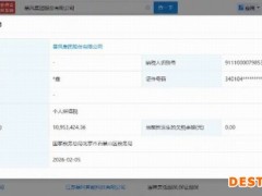 暴风集团欠税1095万再曝债务危机 未履行债务已超8亿